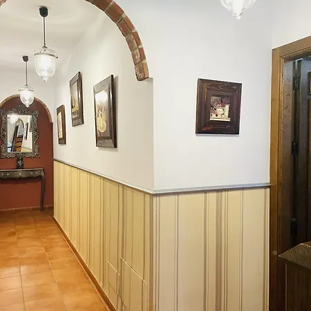 Arcoiris At * טורוקס